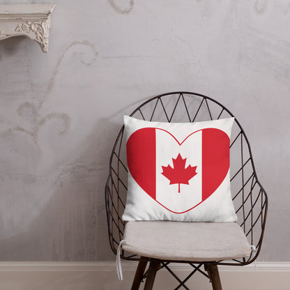 Coussin luxe Haut de Gamme