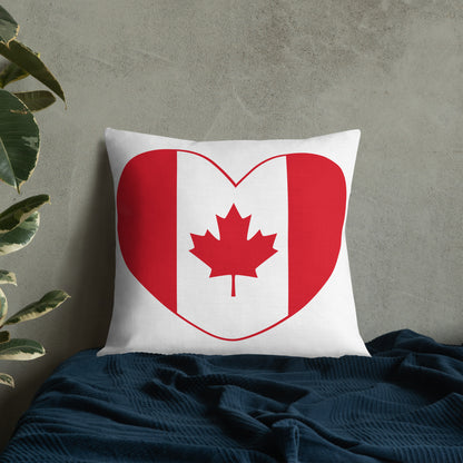 Coussin luxe Haut de Gamme